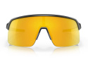 Oakley Sutro Lite Carbon/Prizm 24K Glasögon