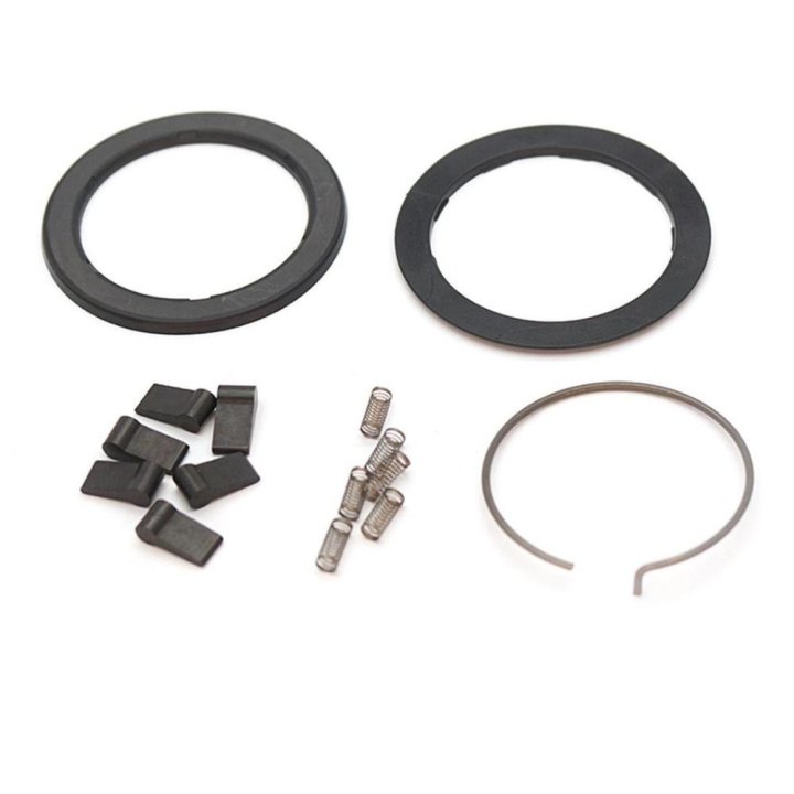 Zipp Spring Pawl Set För ZR1 Nav i gruppen Komponenter / Hjul / Reservdelar hjul/nav / Bodys hos CykelCity (47745)