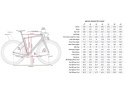 ENVE Melee Carbon Ramset Damascus
