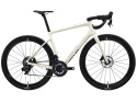 ENVE FRAY Carbon Allroad Racer Ramset Salt