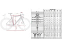 ENVE FRAY Carbon Allroad Racer Ramset Ash